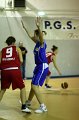 Basket 443001